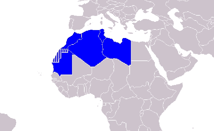 Arap-Mağrib Birliği Ülkeler Atağa Geçmeli